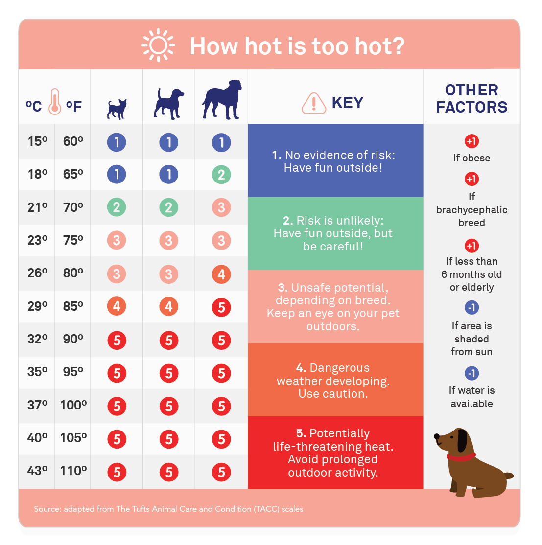 How Hot Is Too Hot infographic