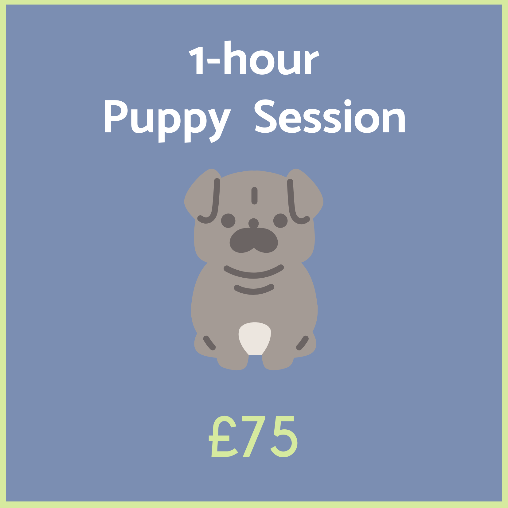 1-hour Puppy Session