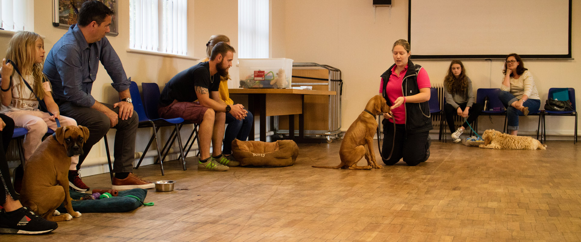 dog trainer courses near me